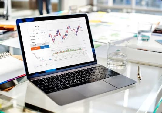 White Label Copy Trading Platform with custom branding for forex brokers