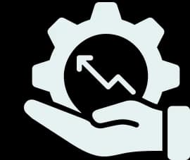 Industry Experience